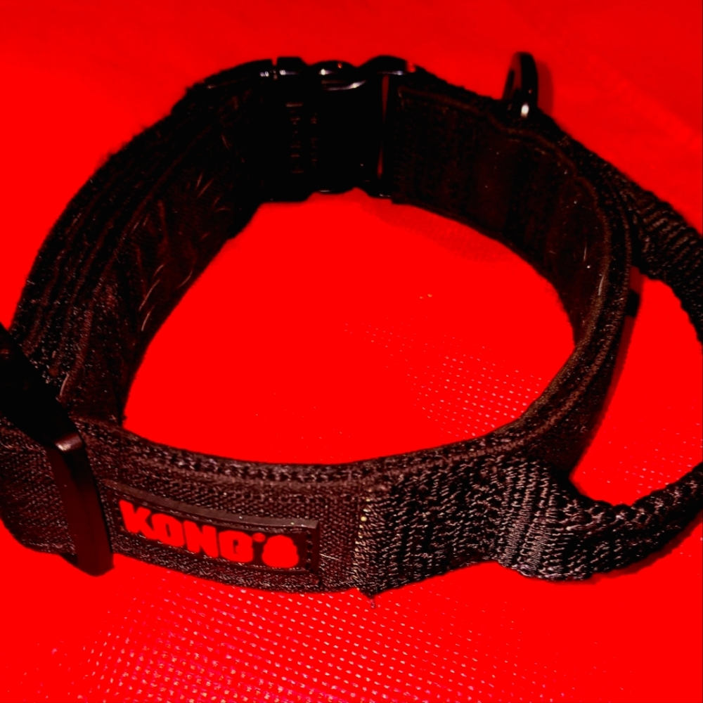 Dog collar with handle